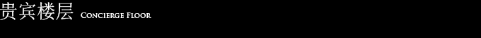 贵宾楼层