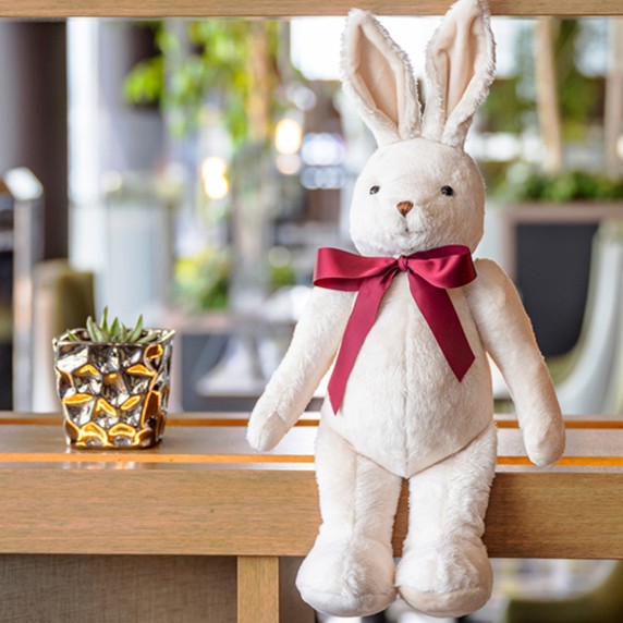 「こんにちは！マリオットラビットです！！」