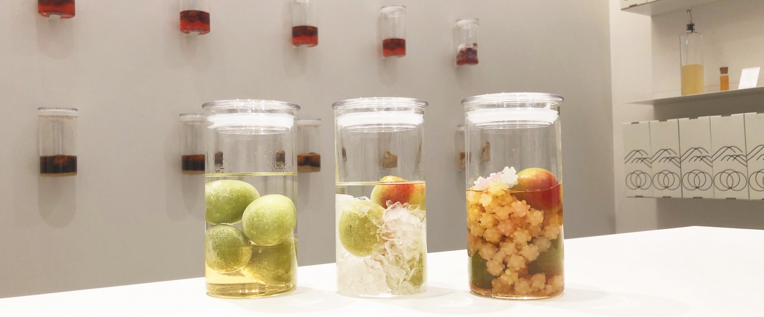 蝶矢　梅酒作り体験