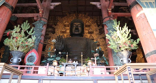 奈良のシンボルにご対面