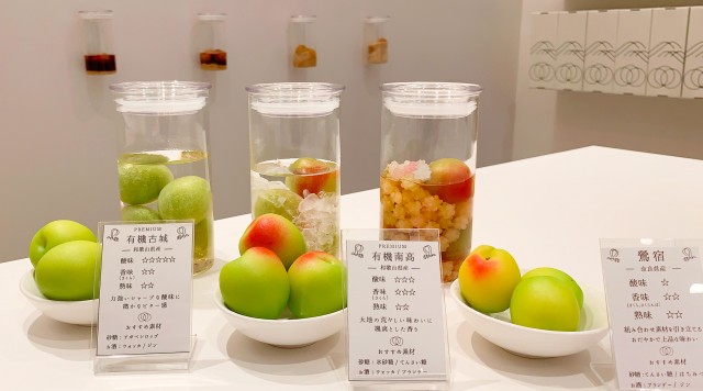 オリジナル梅酒＆梅シロップ