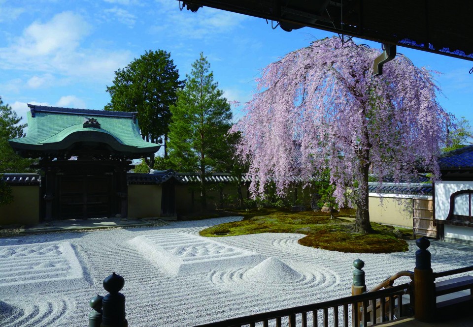 Kyoto Standard Course