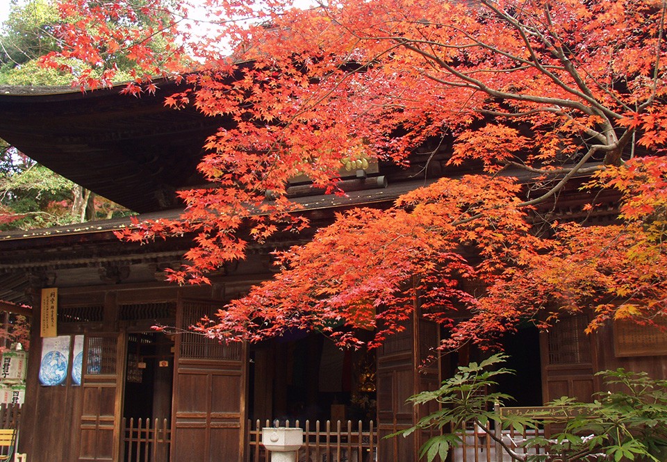 Seto Walking Course​ ​