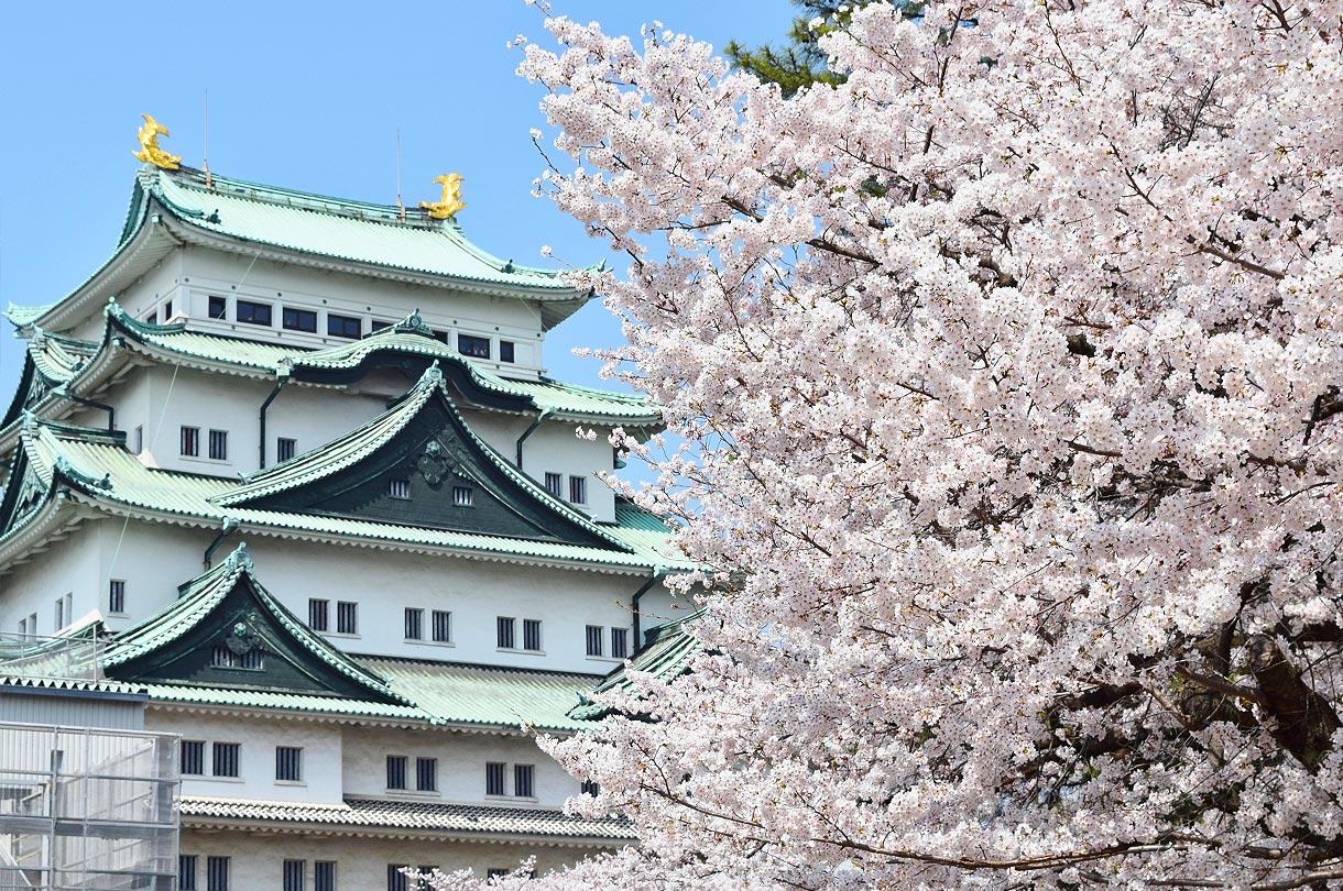 観光モデルコースのご案内