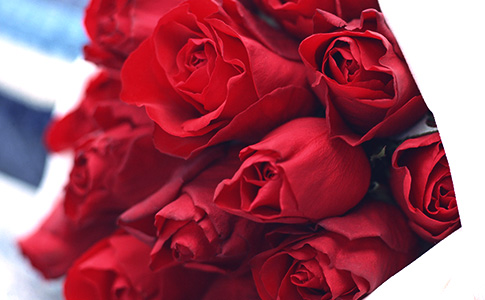 マリオットで過ごす特別な時間