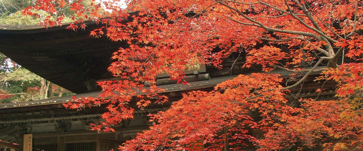定光寺