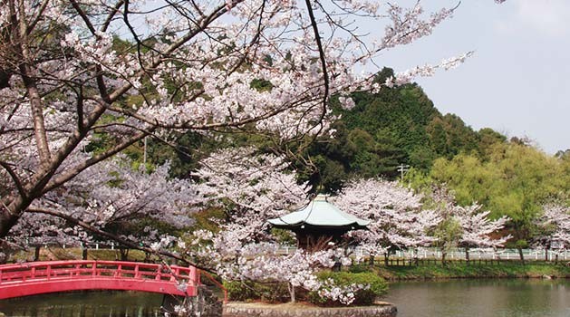 四季景观