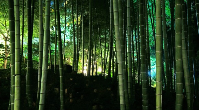 幻想的な景色