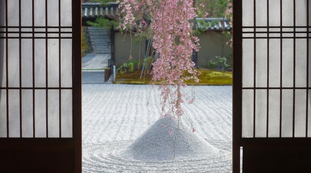 幻想的な景色