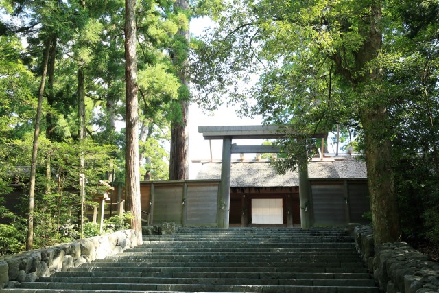 参观奈库