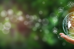 持続可能な旅を目指して