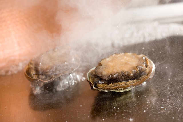 特選 黒毛和牛サーロインとフィレ食べ比べディナー　「富嶽～ふがく～」￥16,000　※写真はイメージです。