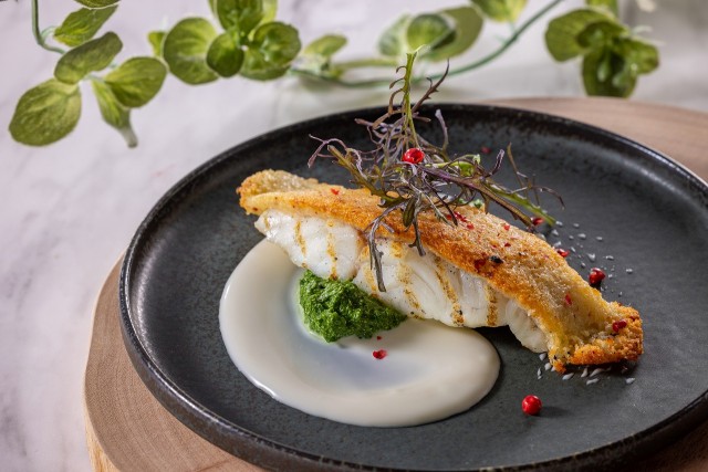 沼津産真鯛のホワイヨ焼き オレンジ風味のヴァンブランソース(お一人様一皿)※ランチ限定