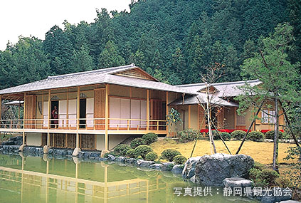 玉露の里(お茶)