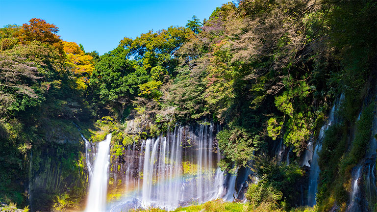 白糸の滝