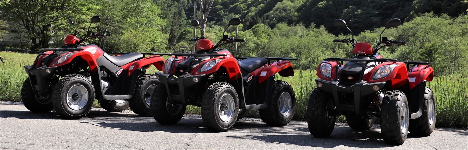 オクヒダバギー