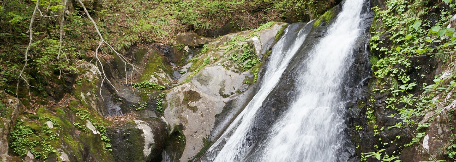 宇津江四十八滝