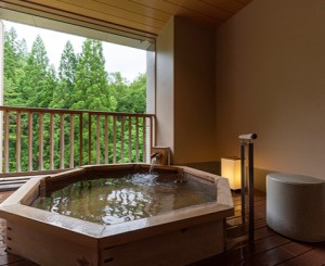 女性に嬉しい飛騨のフェイシャルパック付き！【「貸切温泉」ふたり占め】チェックアウト12時♪カップルプラン☆★35㎡以上のお部屋と10種の露天風呂巡り★