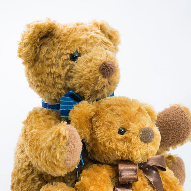 飛騨高山テディベアエコビレッジ