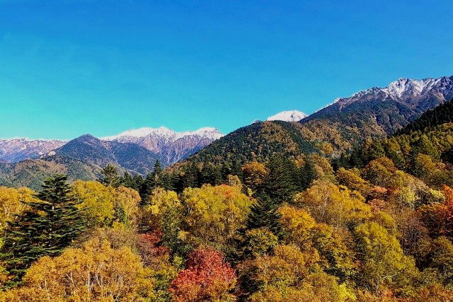 新穂高ロープウェイ