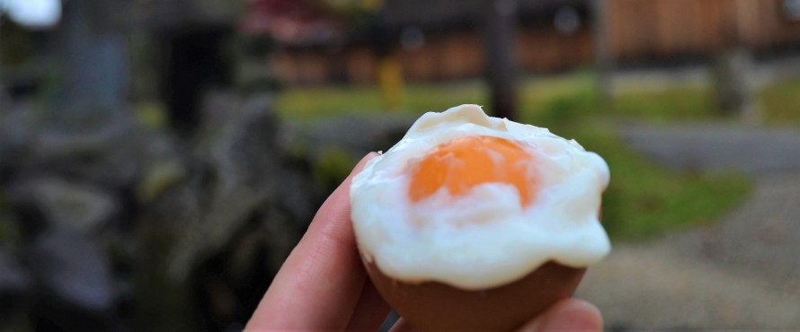 つるや商店　「はんたいたまご」