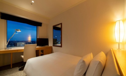 モデレートダブル