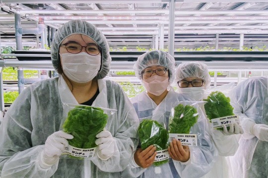 【食材活用で応援】