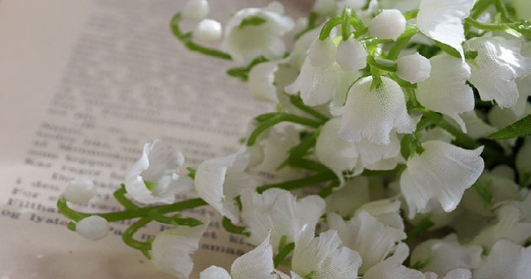 印刷物制作