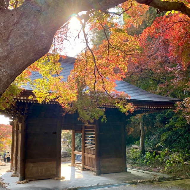 普門寺 もみじ祭り