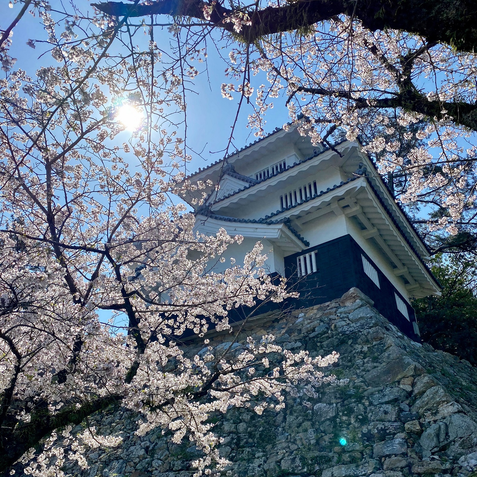 吉田城
