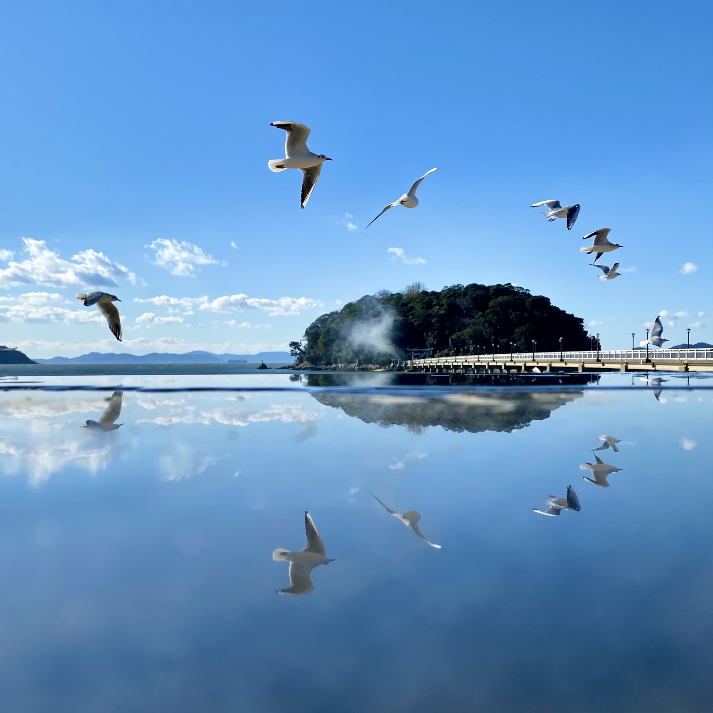 竹島（蒲郡市）